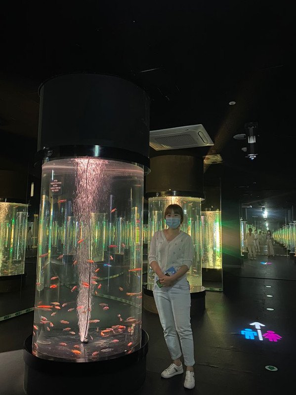 이용권PKG (9/1~29 이용가능) - 이마트몰, 당신과 가장 가까운 이마트 대구아쿠아리움 1인 입장권/칼라룸 이용권PKG (9/1~29 이용가능)